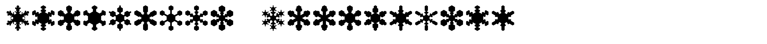 Snowflake Assortment